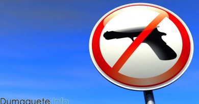 Suspension of Firearms Permit