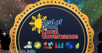 Seal of good local governance - SGLG