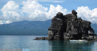 Apo-Island-for-better-eco-tourism