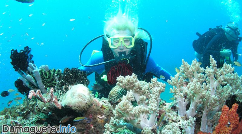 Atlantis Dive Resort Dumaguete in Dauin
