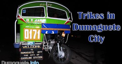 Renewal of Permits for Trike Drivers in Dumaguete