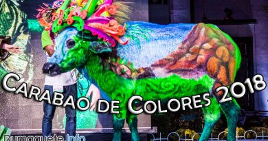 First Ever Carabao Festival in Negros! - Carabao de Colores 2018