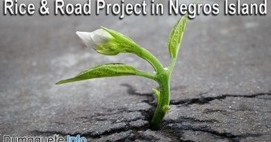 “Rice and Road” Project in Negros Island