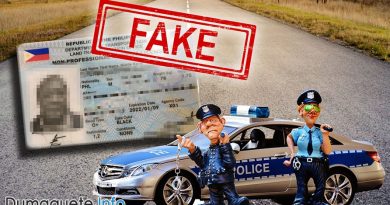 LTO Warns Against Fake Driver’s License