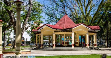Dumaguete Quezon Park and its Bricks of Old Glory