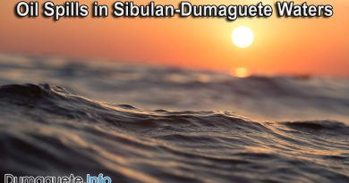 Oil Spills in Sibulan-Dumaguete Waters