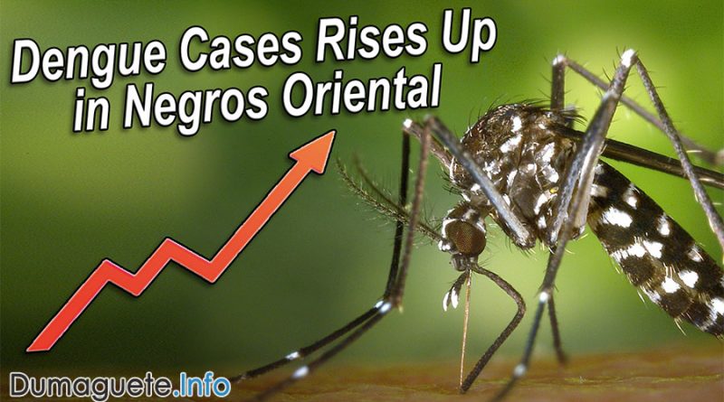 Dengue Cases Rises Up in Negros Oriental