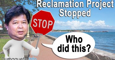 Dumaguete Boulevard’s Reclamation Project Stopped