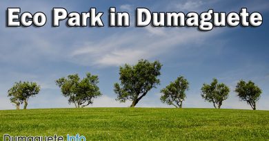 NEVER-Ending Story Part 8 Eco Park in Dumaguete