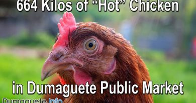 664 Kilos of “Hot” Chicken in Dumaguete Public Market