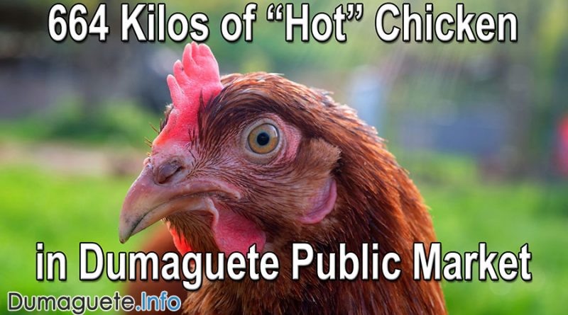 664 Kilos of “Hot” Chicken in Dumaguete Public Market