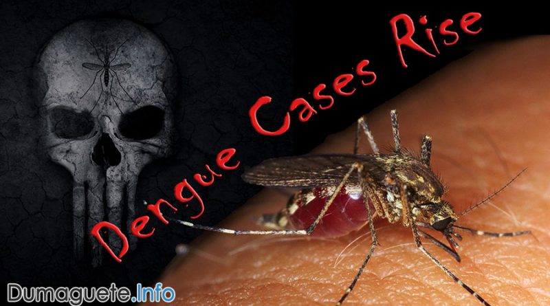 Dengue Cases Rise in Negros Oriental – 16 dead