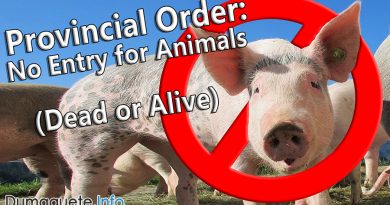 Provincial Order – No Entry for Animals (Dead or Alive) - African Swine Fever