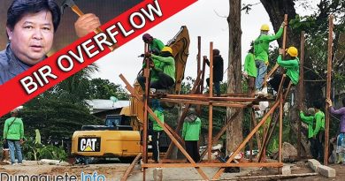 BIR Overflow – PhilSouth to Start Banica Bridge Construction in Dumaguete