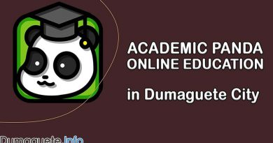 Academic Panda in Dumaguete City – Online Education