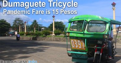 Dumaguete Tricycle – Pandemic Fare is 15 Pesos