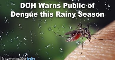 Provincial DOH Warns Public of Dengue this Rainy Season