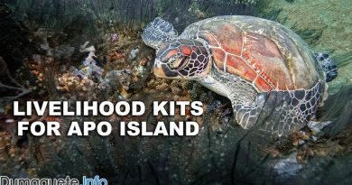 Apo Island Receives 200K Livelihood Kits From DTI