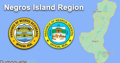 Bill Filed to Create Negros Island Region...Again